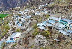 从“忧居”到“优居”：一栋房子的“革 